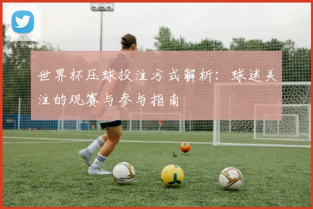 世界杯压球投注方式解析:球迷关注的观赛与参与指南