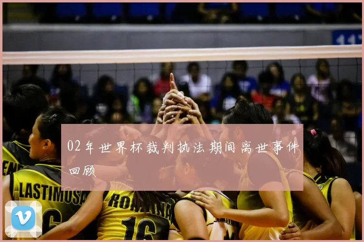 02年世界杯裁判执法期间离世事件回顾