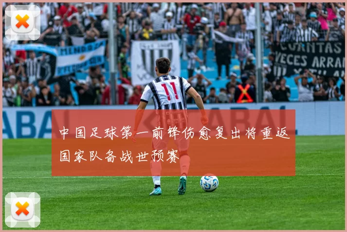 中国足球第一前锋伤愈复出将重返国家队备战世预赛